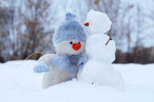 母の日カーネーションの鉢植えは翌年も咲く 長持ちさせるコツは メモっとこ